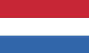 Fahnenpicker Niederlande, 50 Stück